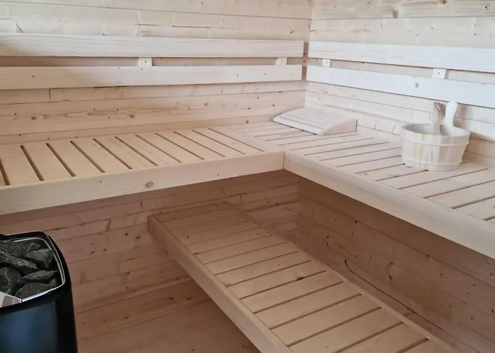 Vicente São Vicente Ferreira