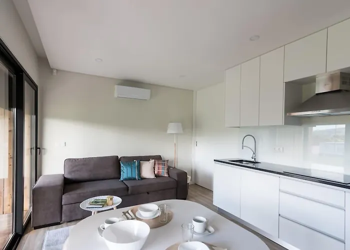 Vicente São Vicente Ferreira