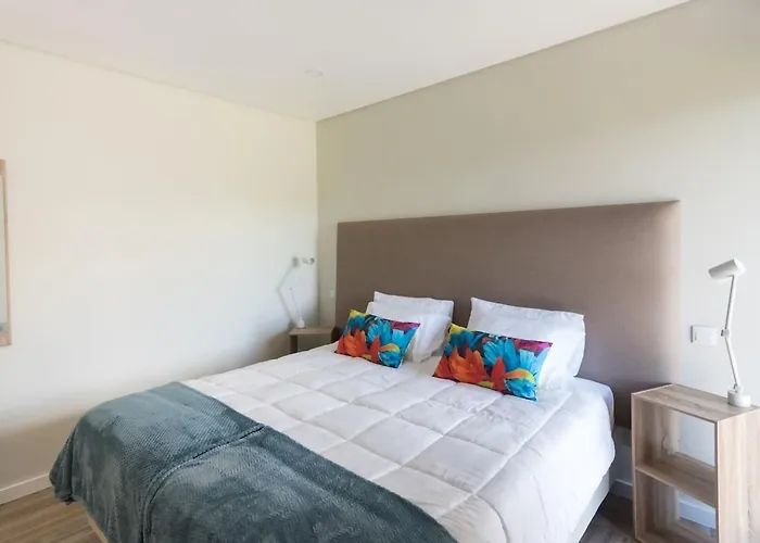 Vicente São Vicente Ferreira