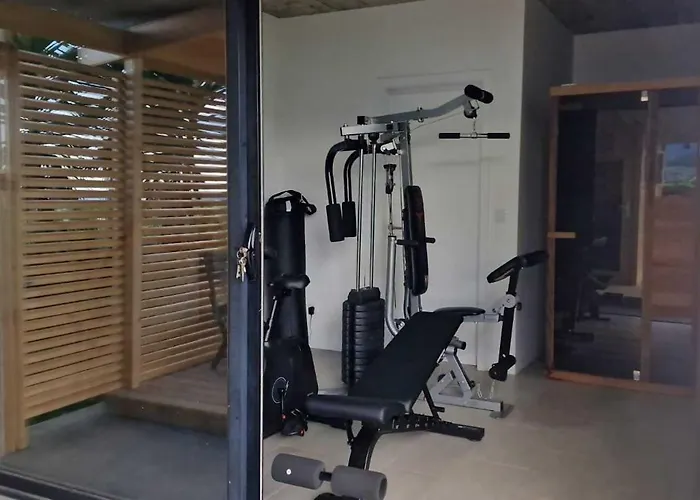 Vicente São Vicente Ferreira